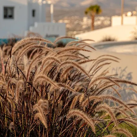 Niléa Island Living Agia Anna (Naxos)